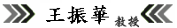 王振華教授